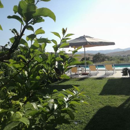 Agriturismo Podere Il Fornacino Santa Luce Exterior photo
