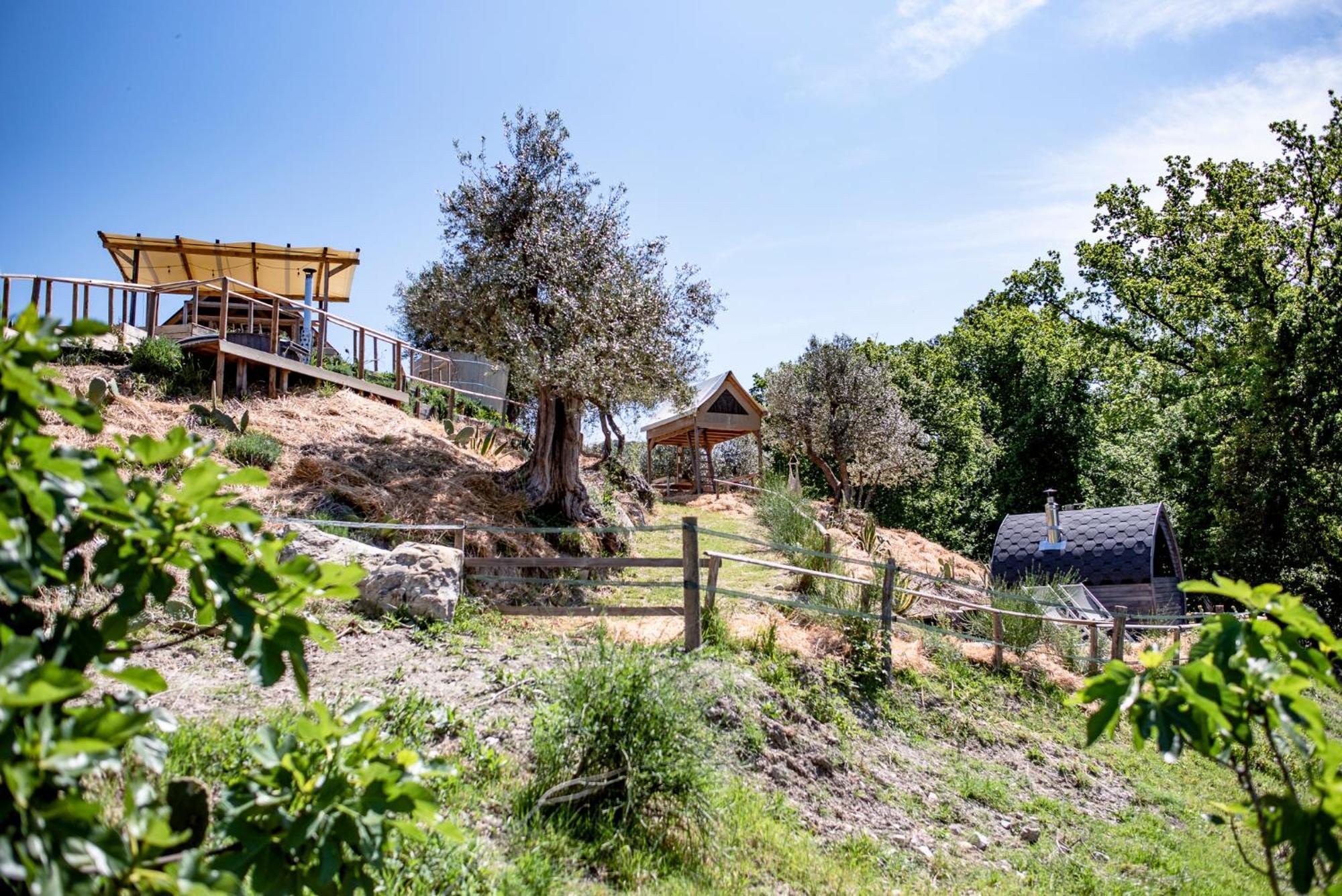 Agriturismo Podere Il Fornacino Santa Luce Exterior photo